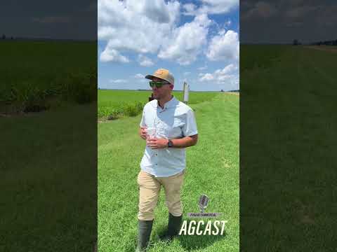 Water Shapes Everything in the Delta