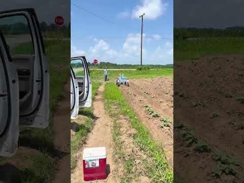 Autonomous “Ant” Machines in the Field — Delta Visit on the Purdue Commercial #AgCast cover art