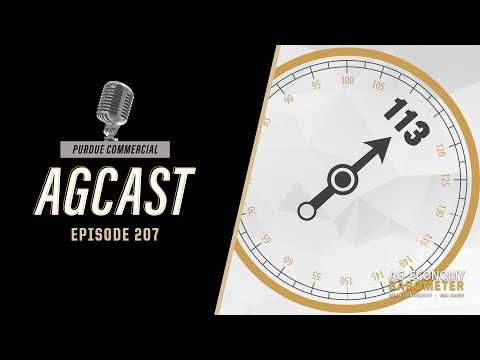 Farmer Sentiment Drops Sharply — What It Signals for Farm Finances in 2026 cover art