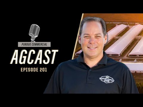 Pig Farming in Focus: A Conversation with Brian Martin