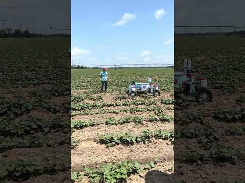 Autonomous Robots in the Soybean Field 🤖🌱 cover art
