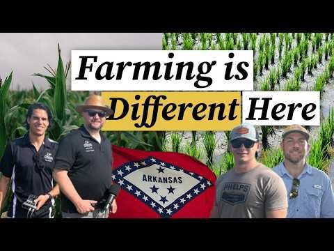 What Midwestern Farmers Can Learn From Southern Agriculture cover art