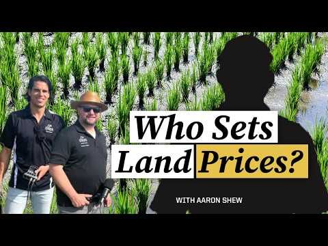 Land Values, Capital Markets, and the Business of Rice cover art
