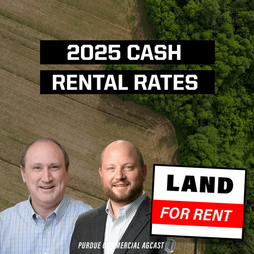 2025 Cash Rental Rates cover art