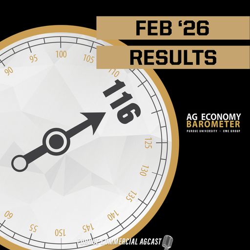 Producer Sentiment Stabilizes, But Future Expectations Slip | February 2026 Ag Economy Barometer cover art