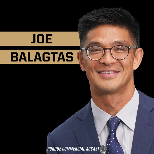 D.C. Insights: A Conversation with Joe Balagtas cover art