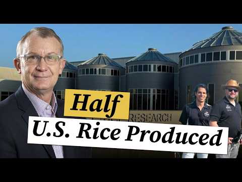 Inside the Rice Research Center Powering Half of U.S. Production