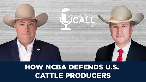 How NCBA Defends U.S. Cattle Producers cover art