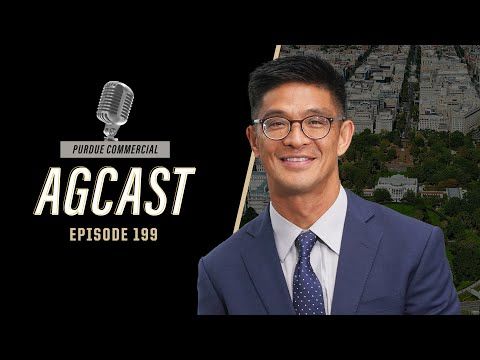 D.C. Insights: A Conversation with Joe Balagtas cover art