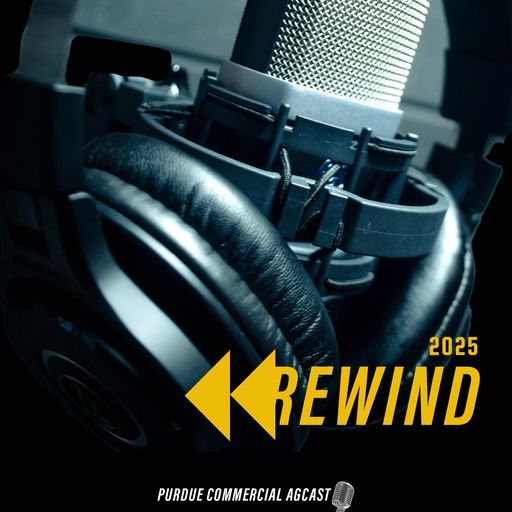 What We Heard This Year—and Where We’re Going cover art