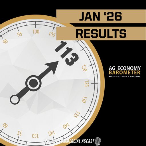 Farmer Sentiment Drops Sharply — What It Signals for Farm Finances in 2026 cover art