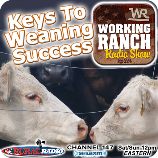 Ep 224: Keys To Successful Weaning w Dr. Ron Lemenager cover art