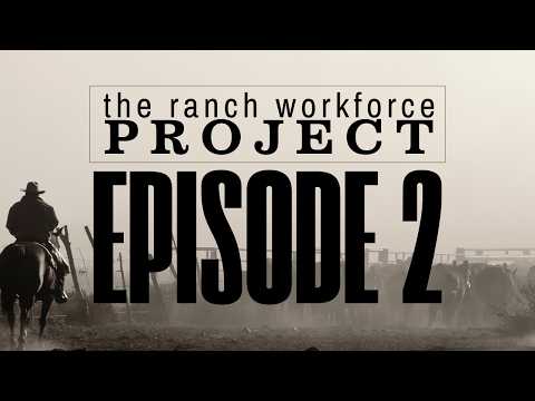 Intentional Short Term Labor: Seasonal Work, Internships, and Apprenticeships Explained