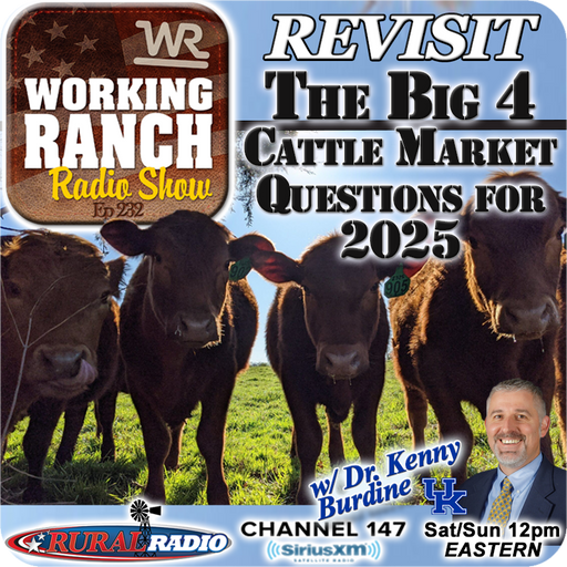 Ep 232: Revisiting the Four Big Cattle Market Questions w Dr. Kenny Burdine cover art
