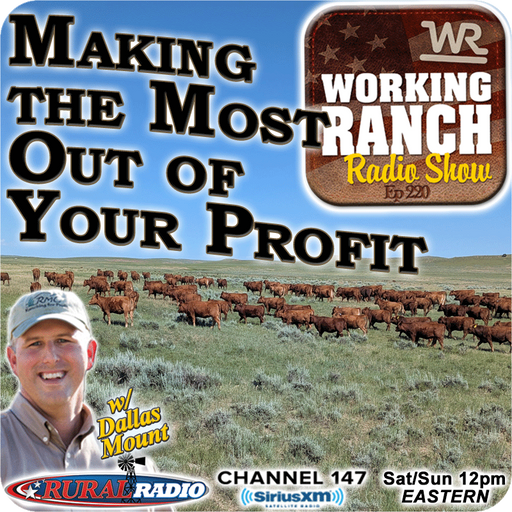 Ep 220: Making the Most Out ofYour Profit with Dallas Mount cover art