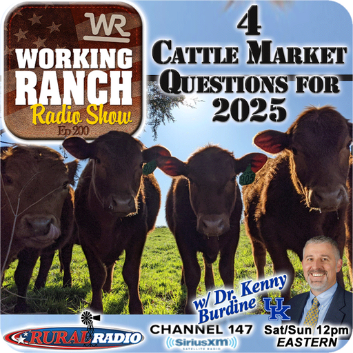 Ep 200: 4 Cattle Market Questions We Hope To See Answered in 2025 cover art