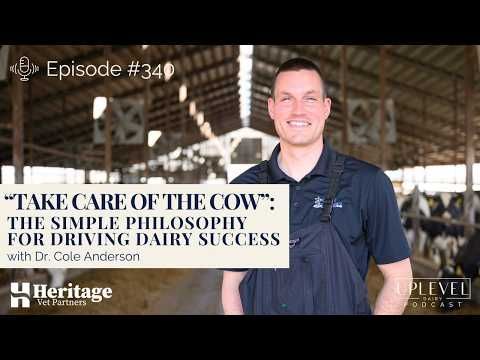 340 | “Take Care of the Cow”: The Simple Philosophy for Driving Dairy Success cover art