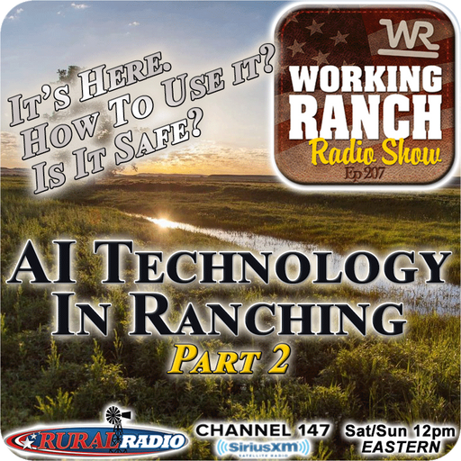 Ep 207: AI Technology: Part2 – It's Here, How Do We Use it ... Is It Safe? cover art
