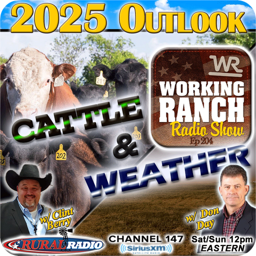Ep 204: 2025 Outlook – Markets & Weather cover art