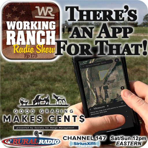 Ep 175: There’s An App For That w Dave Voth cover art