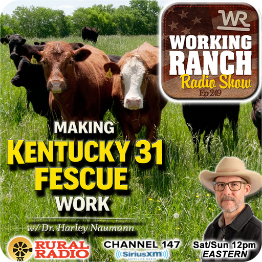Ep 249: Making Kentucky 31 Fescue Work—and What It Teaches About Grazing Management w/ Dr. Harley Naumann cover art