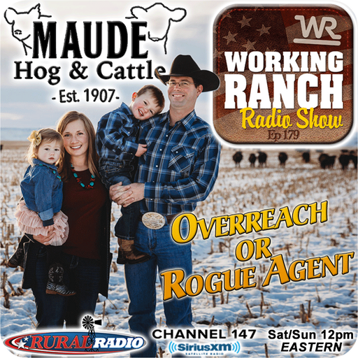 Ep 179: Overreach or Rogue Agent? The Maude Family Story cover art