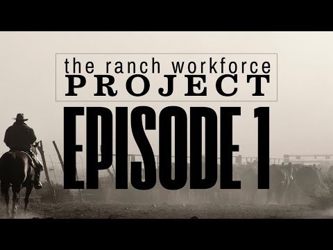 Bringing New Hands, New Ideas, and New Energy into the Agricultural Workforce cover art