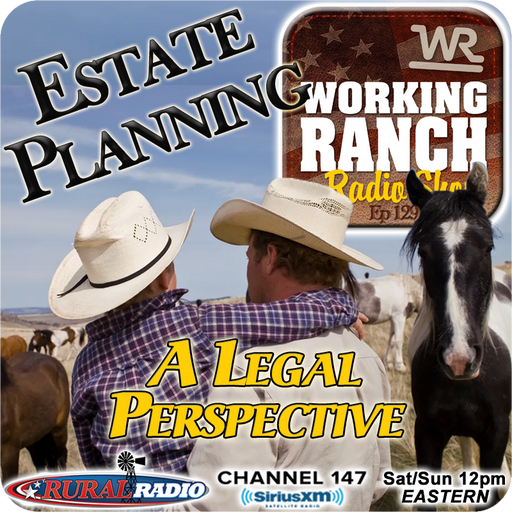 Ep 229: A Legal Perspective on Estate Planning cover art