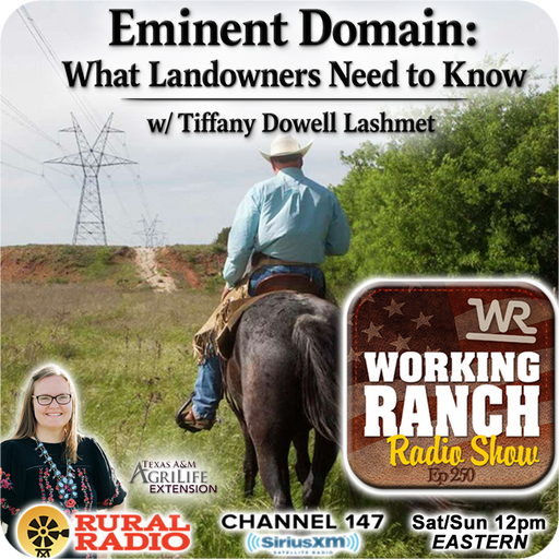 Ep 250: Eminent Domain: What Landowners Need to Know w/ Tiffany Dowell Lashmet cover art