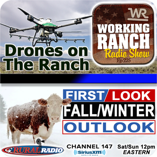 Ep 225: Drone Solutions for Ranchers + Don Day’s Winter Outlook cover art