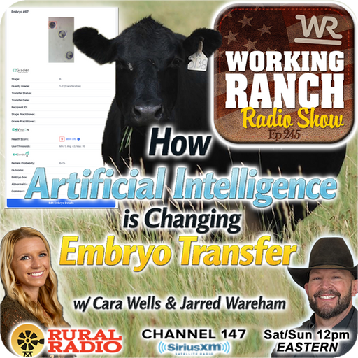 Ep 245: How Artificial Intelligence is Changing Embryo Transfer w/ Cara Wells & Jarred Wareham cover art