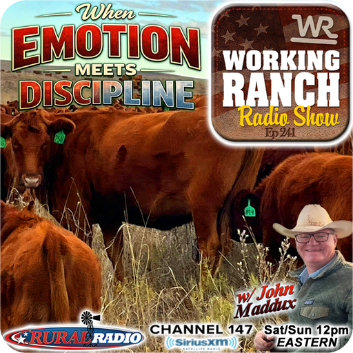 Ep 241: When Emotion Meets Discipline in the Cow Herd w/ John Maddux cover art