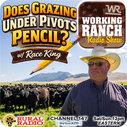 Ep 248: Does Grazing Under Pivots Pencil? w/ Race King cover art
