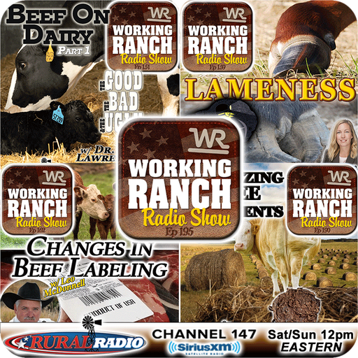 Ep 195: Top Shows from 2024 - #8-#5 cover art