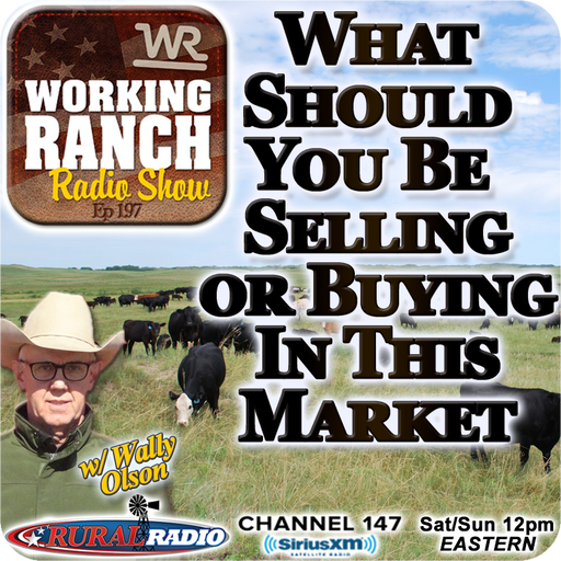 Ep 197: What Should You Be Selling and Buying in this Market w/ Wally Olson cover art