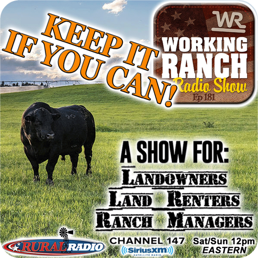 Ep 181: Ranch Estate: Keep It If You Can! cover art