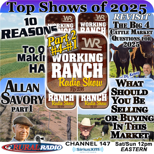 Ep 238: Top Shows of 2025 Part 2: Highlights from #4–#1 cover art