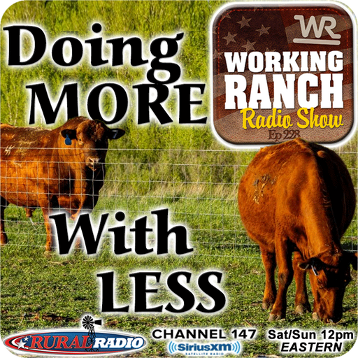 Ep 228: Doing More with Less: Precision Ranching with Chip Kemp cover art