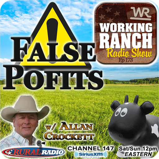 Ep 173: Caution! False Profits in Higher Markets w Allan Crockett cover art