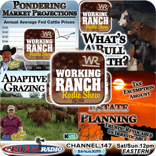 Ep 196: Top Shows from 2024 - #4-#1 cover art