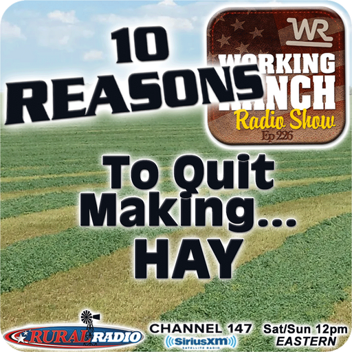 Ep 226: Ten Reasons You Should Quit Making Hay cover art