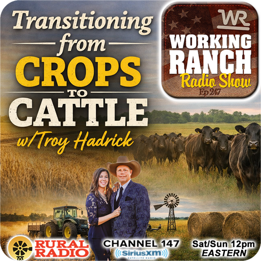 Ep 247: Transitioning from Crops to Cattle w/ Troy Hadrick cover art