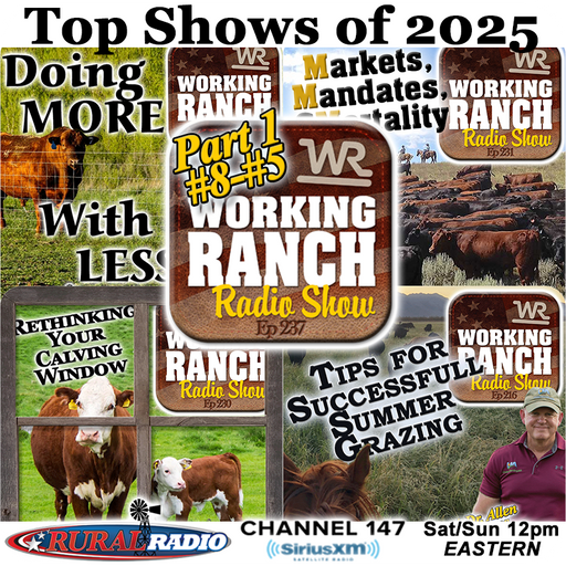 Ep 237: Top Shows of 2025 Part 1: Highlights from #8–#5 cover art