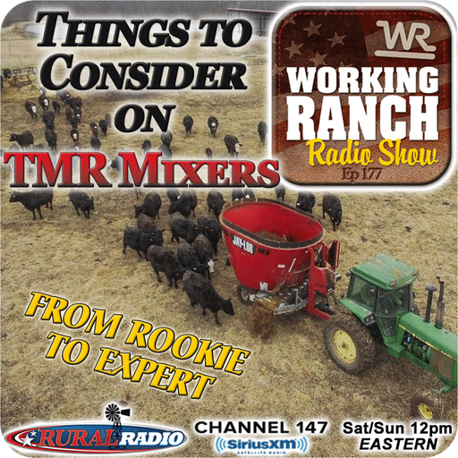Ep 177: Things to Consider on Using TMR Mixers from... Rookie to Expert cover art