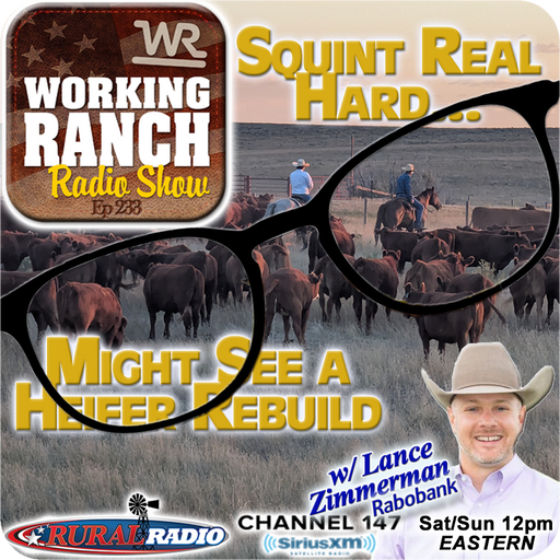 Ep 233: Squint Real Hard… and You Might See a Rebuild w Lance Zimmerman cover art