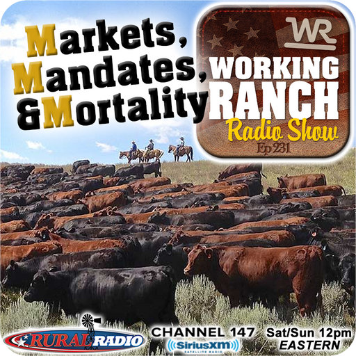 Ep 231: Markets, Mandates, and Mortality w/ Dr. Nevil Speer cover art