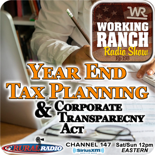 Ep 193: Year End Tax Planning & CTA cover art