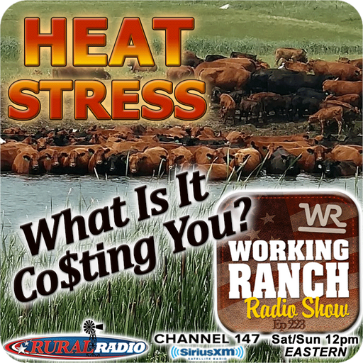 Ep 223: Heat Stress: What It’s Really Costing Your Operation cover art