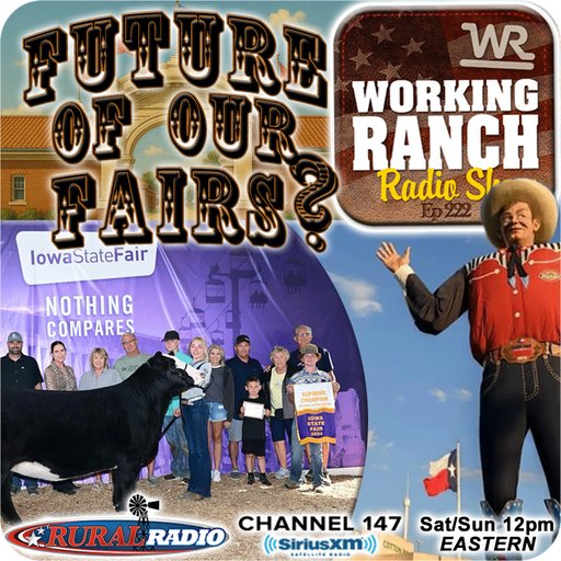 Ep 222: The Future of the Fair: Why County and State Fairs Are at a Crossroads cover art