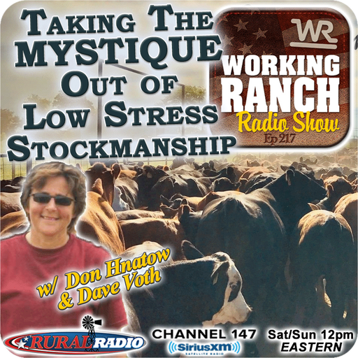 Ep 217: Taking The Mystique Out of Low Stress Stockmanship w Dawn Hnatow cover art